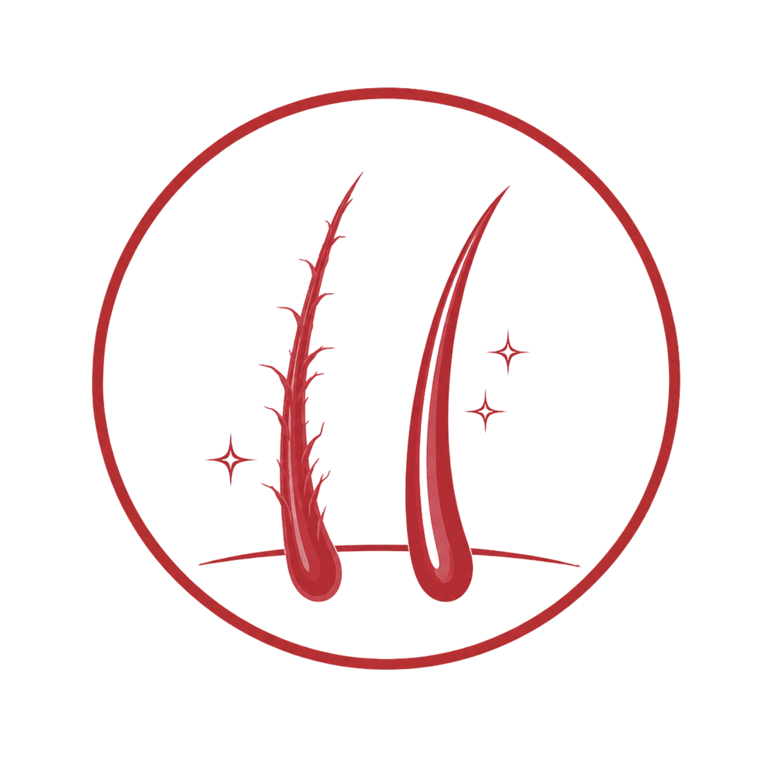 Anionic Anti-frizz™  kompleksas